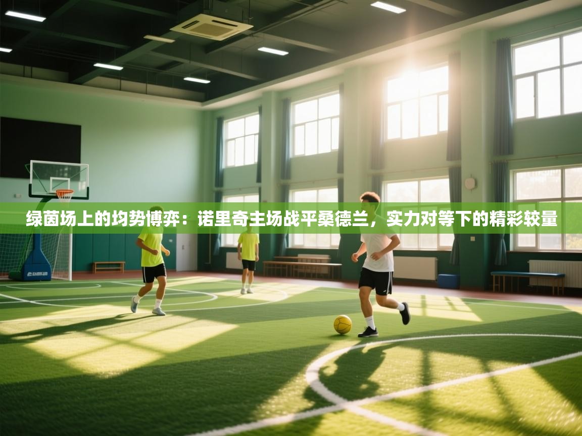 绿茵场上的均势博弈:诺里奇主场战平桑德兰,实力对等下的精彩较量 第2张