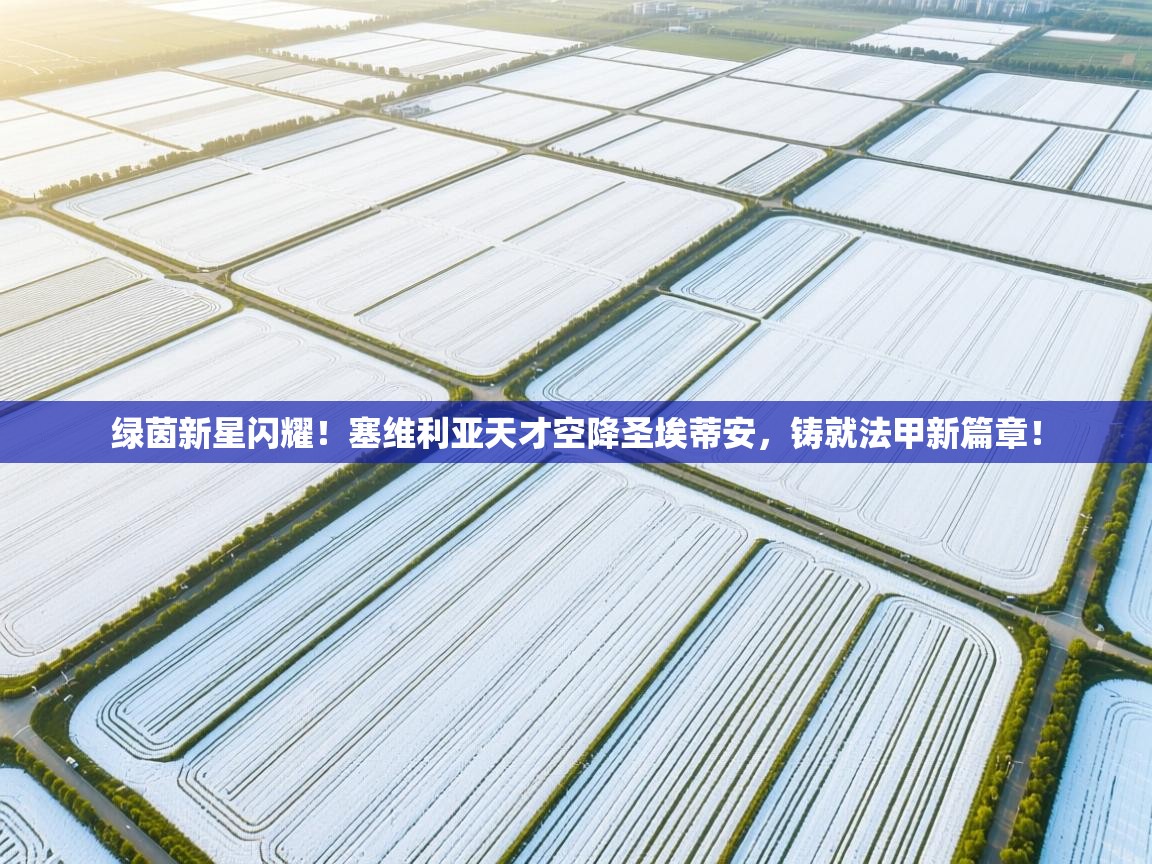 绿茵新星闪耀！塞维利亚天才空降圣埃蒂安，铸就法甲新篇章！  第2张