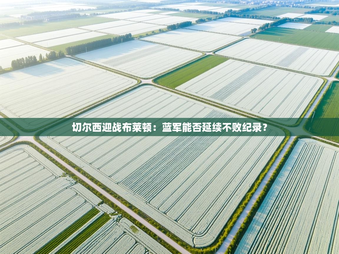 切尔西迎战布莱顿：蓝军能否延续不败纪录？  第2张