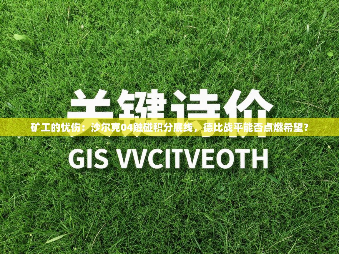 矿工的忧伤:沙尔克04触碰积分底线,德比战平能否点燃希望? 第2张