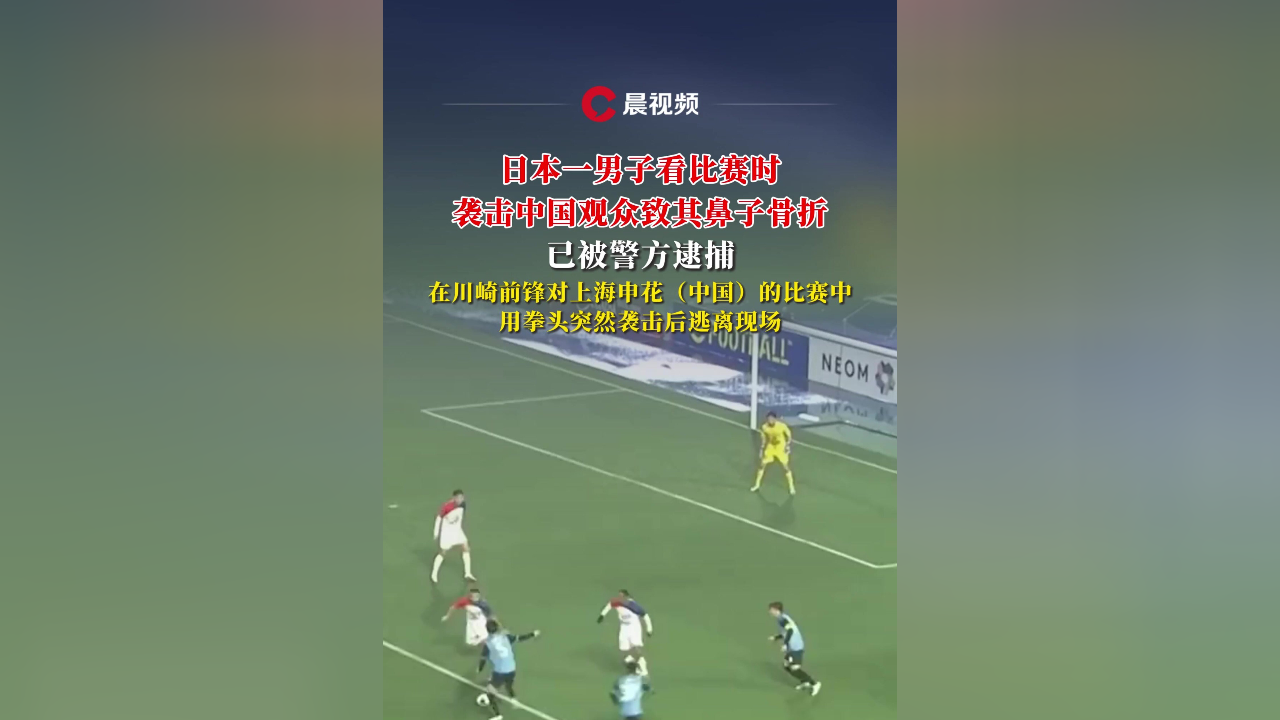 因在亚冠看台殴打中国观众，一日本男子被警方逮捕(广东女球迷遭辽宁主场球迷殴打辱骂)