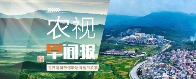 江苏公安抓获苏超倒票黄牛105人已成立工作专班集中打击的简单介绍